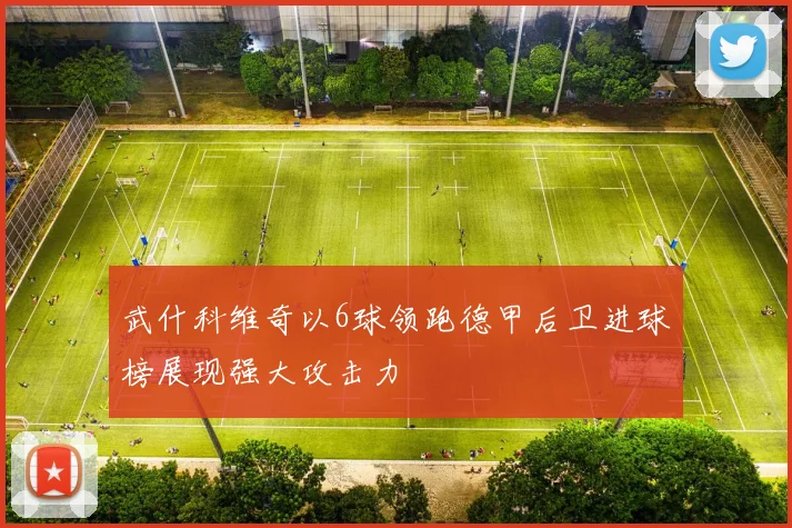 武什科维奇以6球领跑德甲后卫进球榜展现强大攻击力