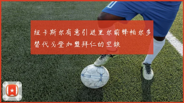 纽卡斯尔有意引进里尔前锋帕尔多替代戈登加盟拜仁的空缺