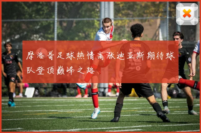 摩洛哥足球热情高涨迪亚斯期待球队登顶巅峰之路