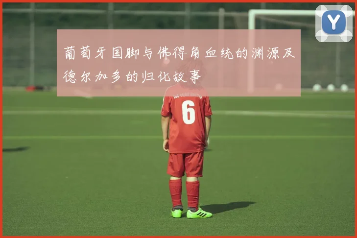 葡萄牙国脚与佛得角血统的渊源及德尔加多的归化故事