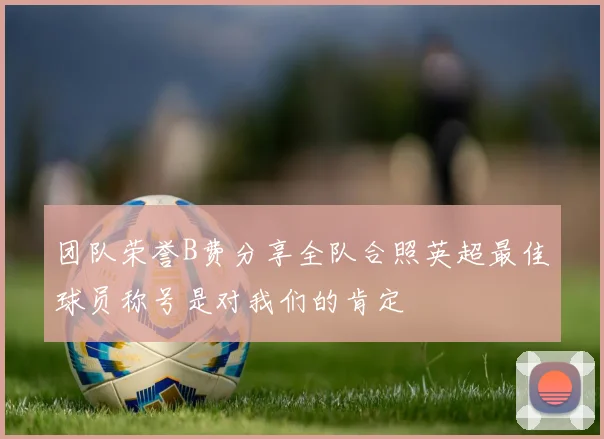 团队荣誉B费分享全队合照英超最佳球员称号是对我们的肯定