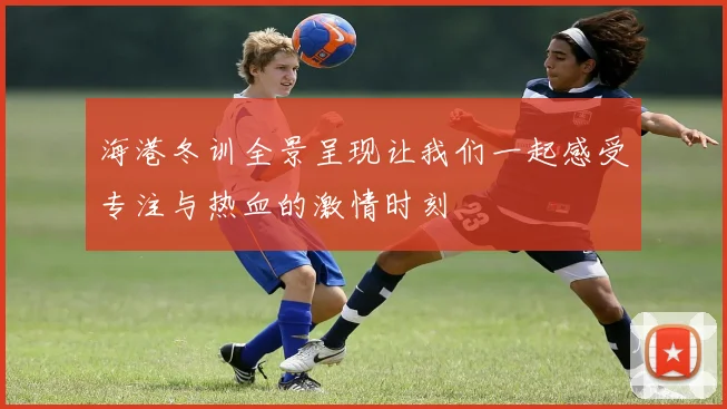 海港冬训全景呈现让我们一起感受专注与热血的激情时刻